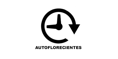 Guía de Cultivo Indoor - Semillas Feminizadas Autoflorecientes